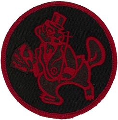 125th Tactical Fighter Squadron Morale
