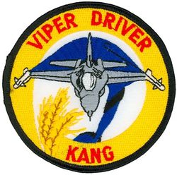 127th Fighter Squadron F-16 Pilot
