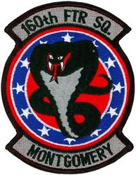 160th Fighter Squadron 
