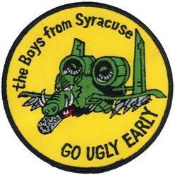 174th Fighter Wing A-10
