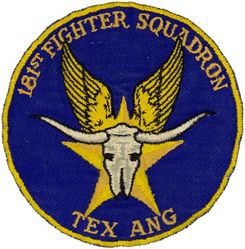 181st Fighter-Interceptor Squadron
