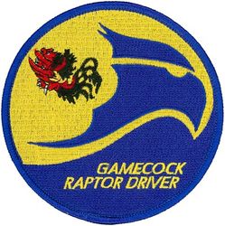 19th Fighter Squadron F-22 Pilot
