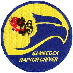 19th Fighter Squadron F-22 Pilot
