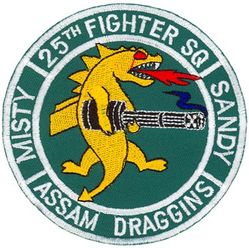 25th Fighter Squadron Forward Air Controller-Airborne/Combat Search and Rescue
