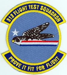 313th Flight Test Squadron
