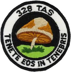 328th Tactical Airlift Squadron 
Translation: TENETE EOS IN TENEBRIS = Always Kept in the Dark
