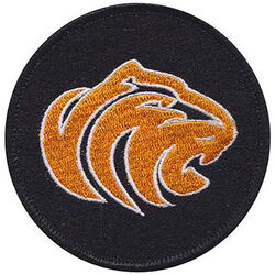 366th Fighter Wing Morale
