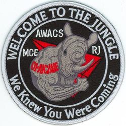 38th Reconnaissance Squadron Morale
