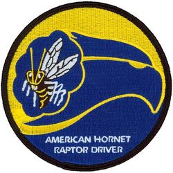 43d Fighter Squadron F-22 Pilot 
