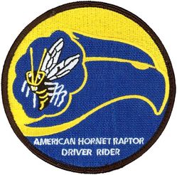 43d Fighter Squadron F-22 Pilot Wife
