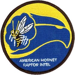 43d Fighter Squadron Intelligence Flight
