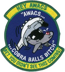 45th Reconnaissance Squadron RC-135S Morale
