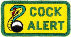 45th Reconnaissance Squadron RC-135S Pencil Pocket Tab
