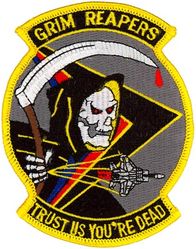 493d Fighter Squadron Morale
