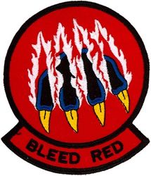 494th Fighter Squadron Morale
