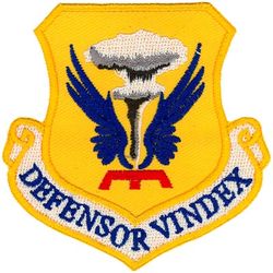 509th Bomb Wing
Translation: DEFENSOR VINDEX-Defender-Avenger
