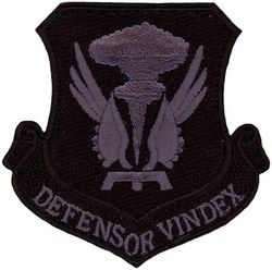 509th Bomb Wing
Translation: DEFENSOR VINDEX = Defender Avenger
