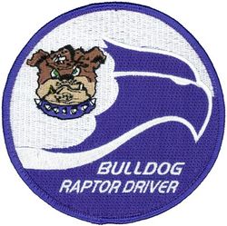 525th Fighter Squadron F-22 Pilot 
