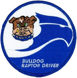 525th Fighter Squadron F-22 Pilot 
