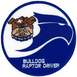 525th Fighter Squadron F-22 Pilot 
