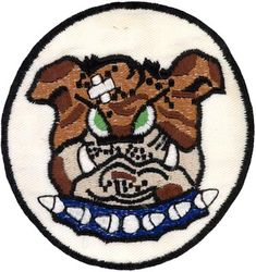 525th Fighter-Interceptor Squadron 
