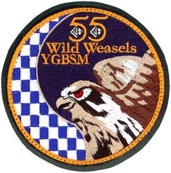 55th Fighter Squadron F-16 Swirl
