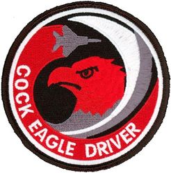 67th Fighter Squadron F-15 Pilot
