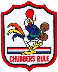 67th Fighter Squadron C Flight

