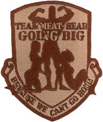 737th Expeditionary Airlift Squadron Morale
Keywords: desert