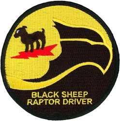 8th Fighter Squadron F-22 Pilot
