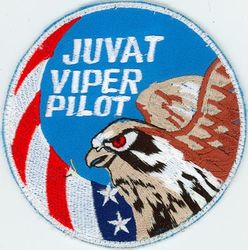 80th Fighter Squadron F-16 Pilot Swirl
