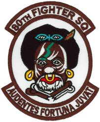 80th Fighter Squadron 
