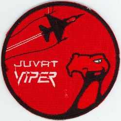 80th Fighter Squadron F-16 Pilot
