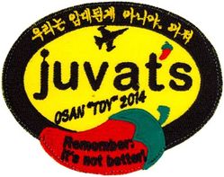 80th Fighter Squadron - Osan TDY 2014
