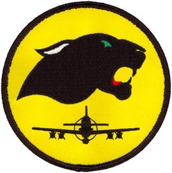 81st Fighter Squadron  A-29
