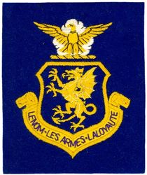 81st Fighter-Interceptor Wing and 81st Fighter-Bomber Wing 
