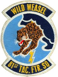 81st Tactical Fighter Squadron
