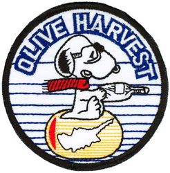 9th Operations Group Detachment 1
