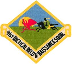 91st Tactical Reconnaissance Squadron 
