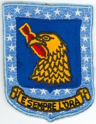96th Bombardment Wing, Heavy
Official Translation: E SEMPRE L'ORA = It is Always the Hour
