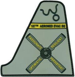 18th Aeromedical Evacuation Squadron Morale
Keywords: PVC