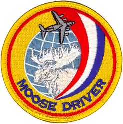 729th Airlift Squadron C-17 Pilot
