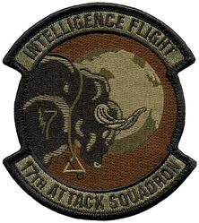 717th Expeditionary Attack Squadron 
Keywords: OCP