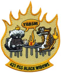 421st Fighter Generation Squadron Morale
