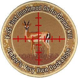 461st Flight Test Squadron Morale
