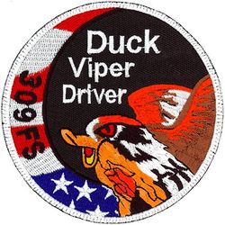 309th Fighter Squadron F-16 Pilot Swirl
