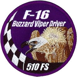 510th Fighter Squadron F-16 Pilot 
