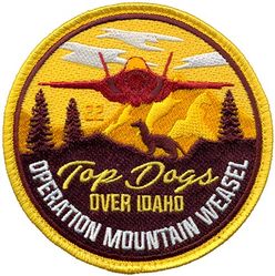 61st Fighter Squadron Operation MOUNTAIN WEASEL 2022
Operation Mountain Weasel, held for the F-35A B-course capstone
