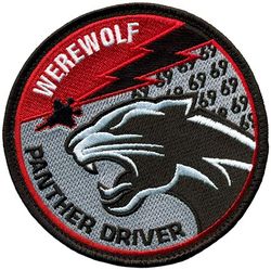 69th Fighter Squadron F-35 Pilot
