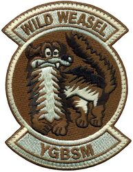 79th Expeditionary Fighter Squadron Wild Weasel
